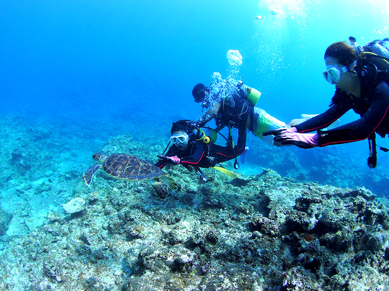 ブルースペース